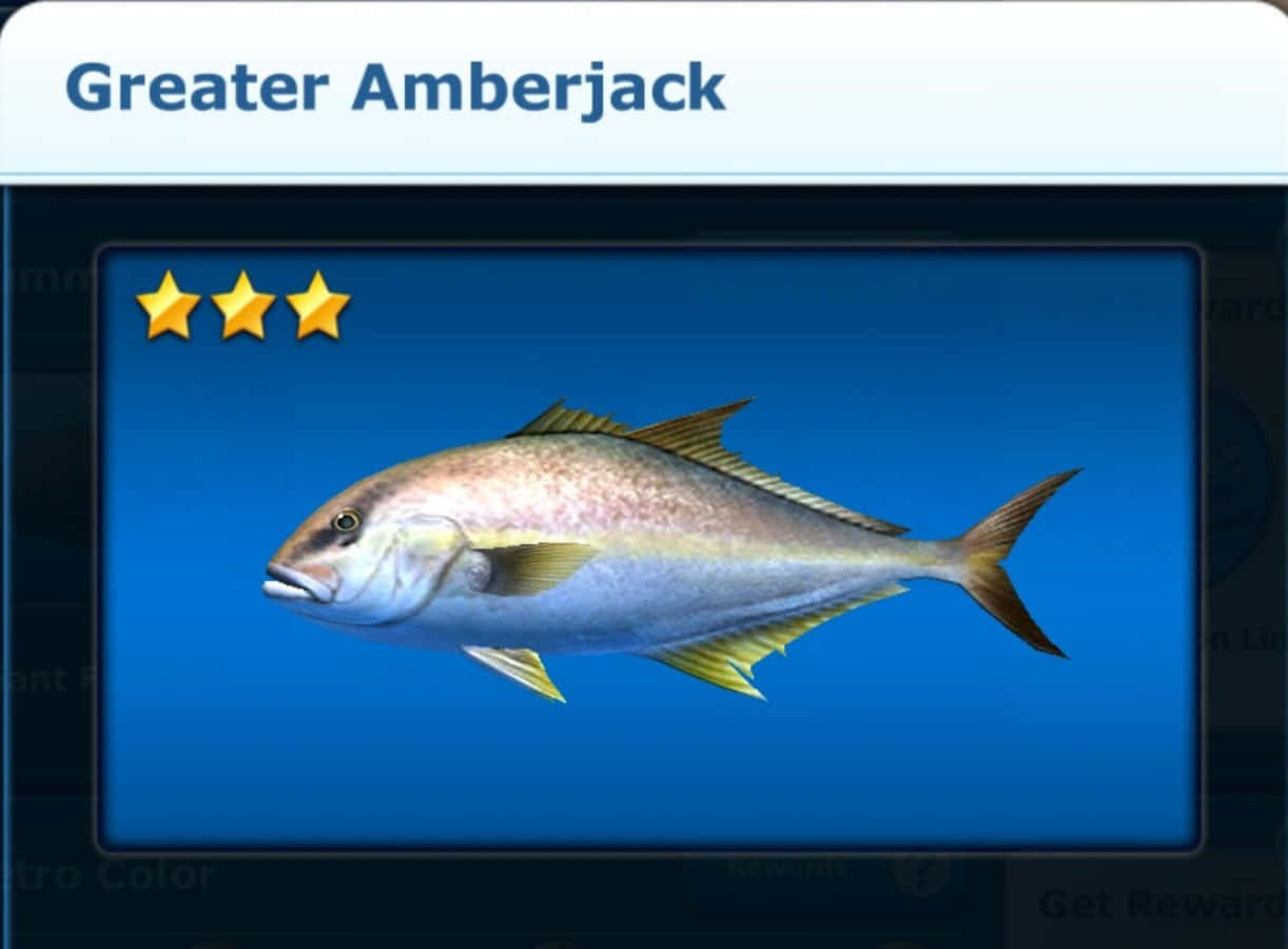 Gurita Greater Amberjack Megah Berenang Di Perairan Tropis Wallpaper