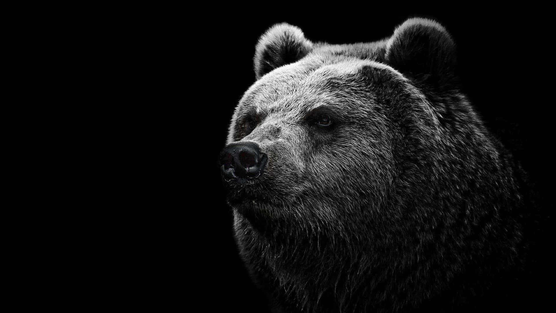 Majestic Grizzly Bear Portrait Wallpaper