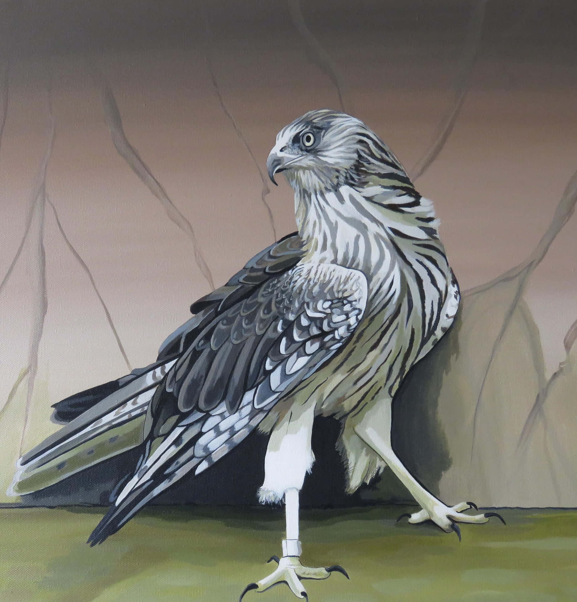 Majestic Harrier Bird Illustration Wallpaper