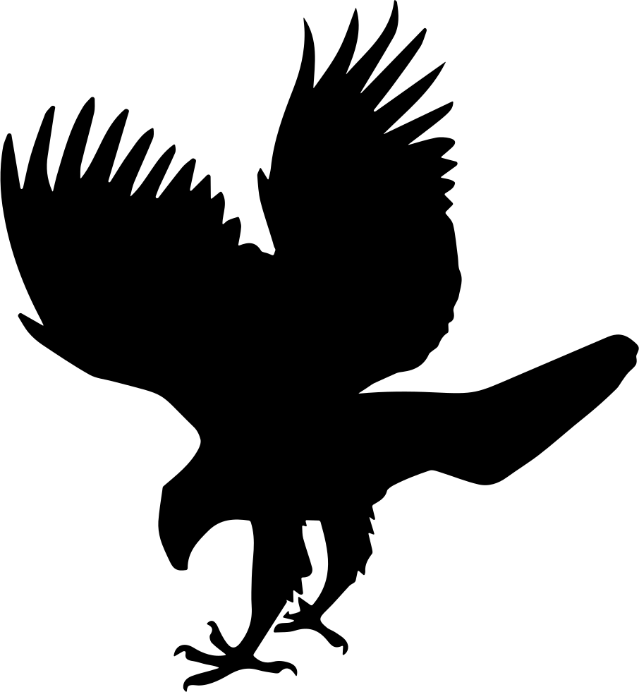 Majestic Hawk Silhouette PNG