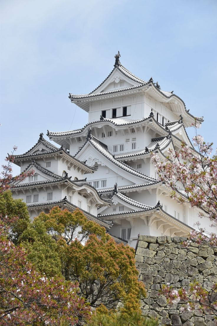 Retratodel Majestuoso Castillo De Himeji Fondo de pantalla