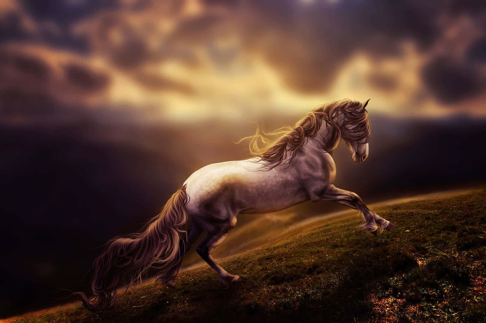 Majestic Horse Galloping Stormy Backdrop Wallpaper