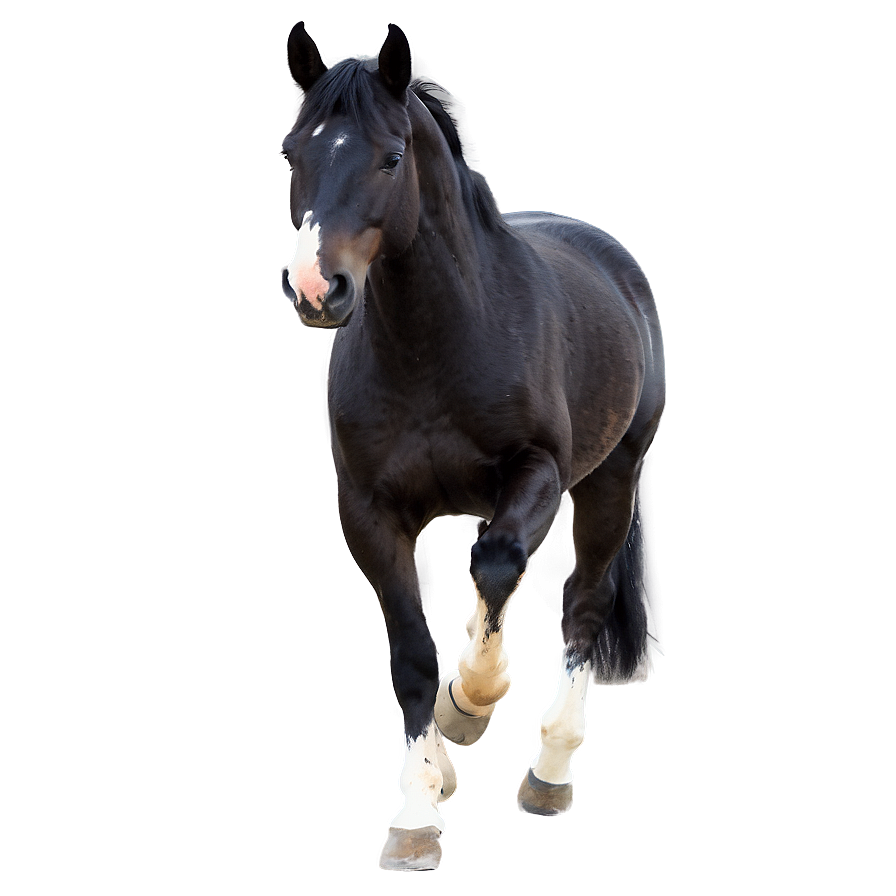 Majestic Horse Png 73 PNG