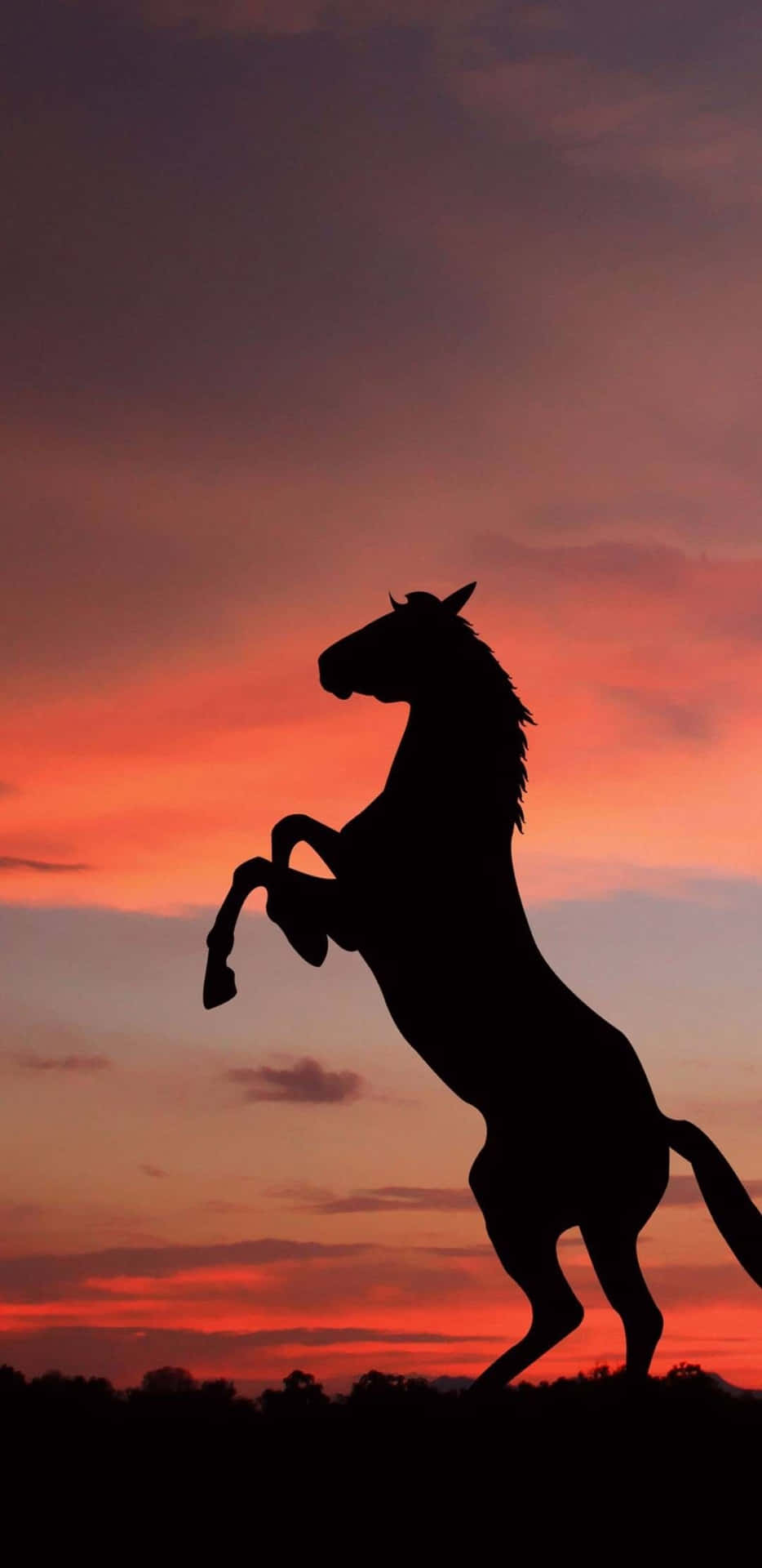 Majestic Horse Silhouetteat Sunset Wallpaper