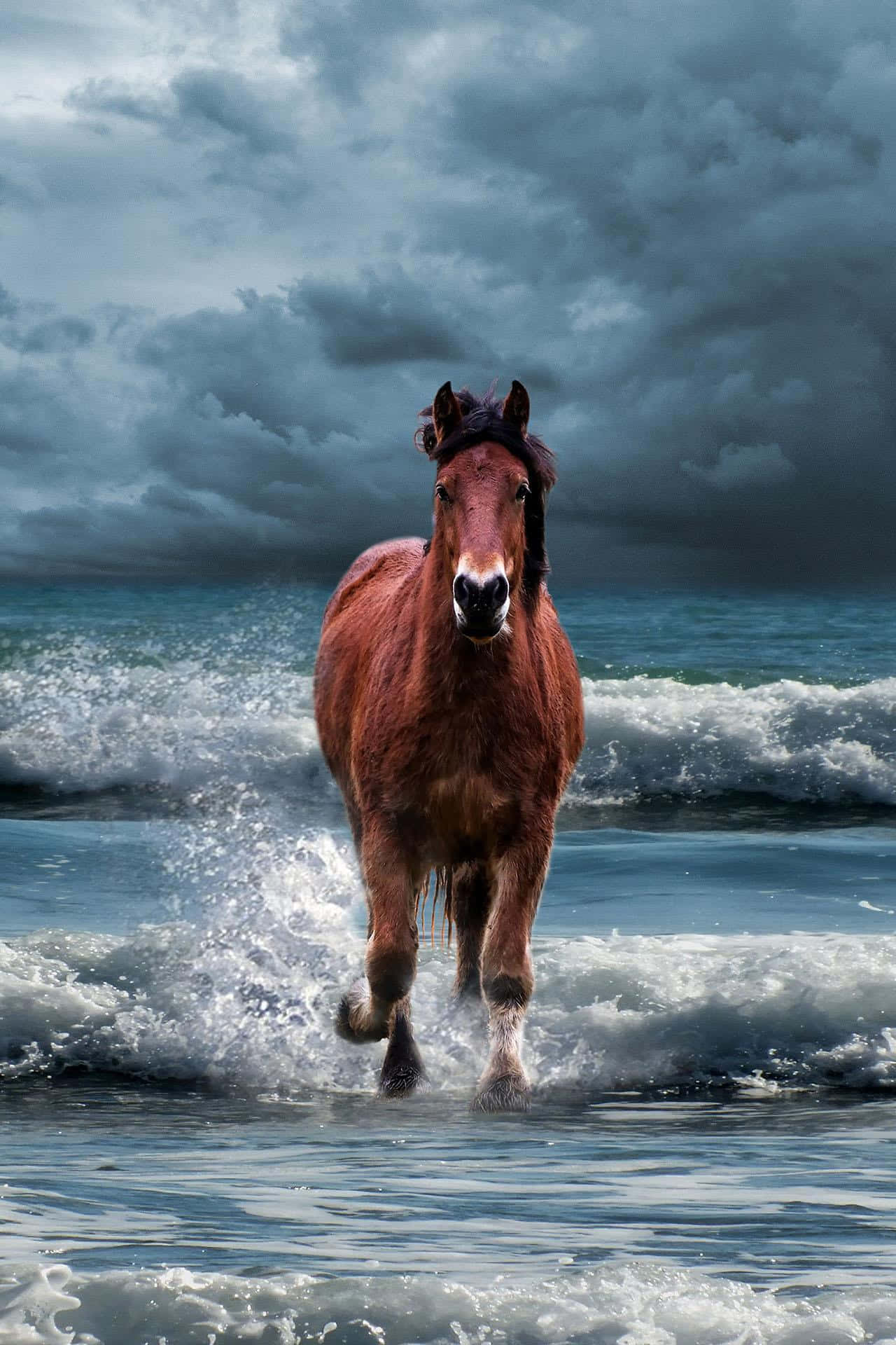 Majestic Horse Stormy Beach Galloping Wallpaper
