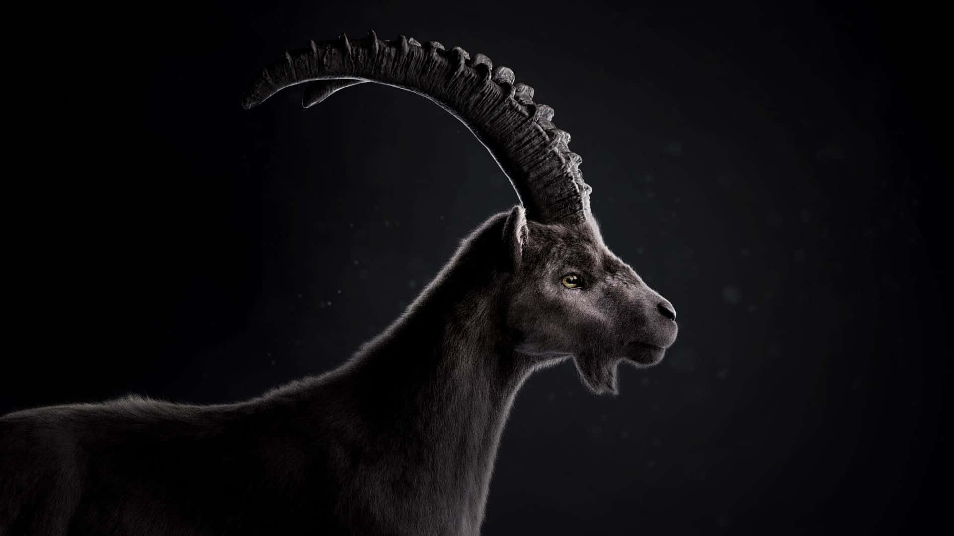 Majestic Ibex Profile Wallpaper