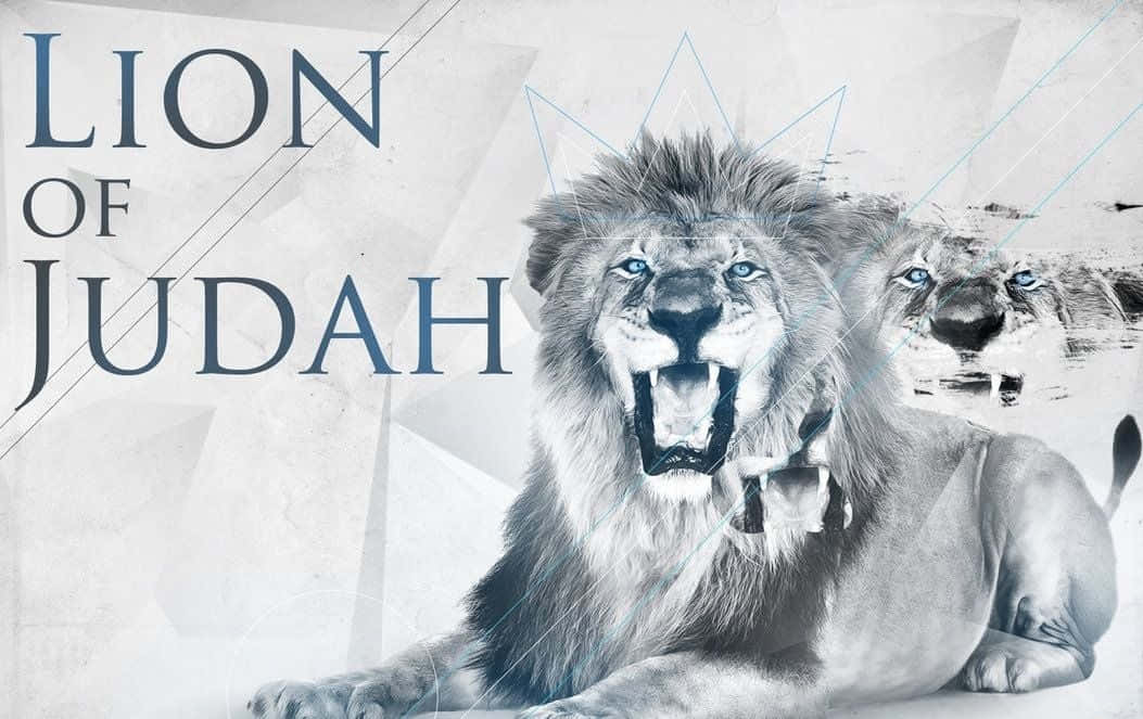 Majestic Lion Of Judah In A Vibrant Landscape Wallpaper