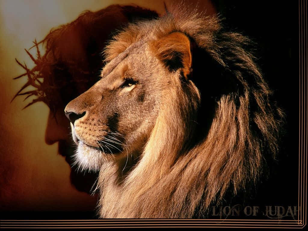 Majestic Lion Of Judah On A Colorful Background Wallpaper