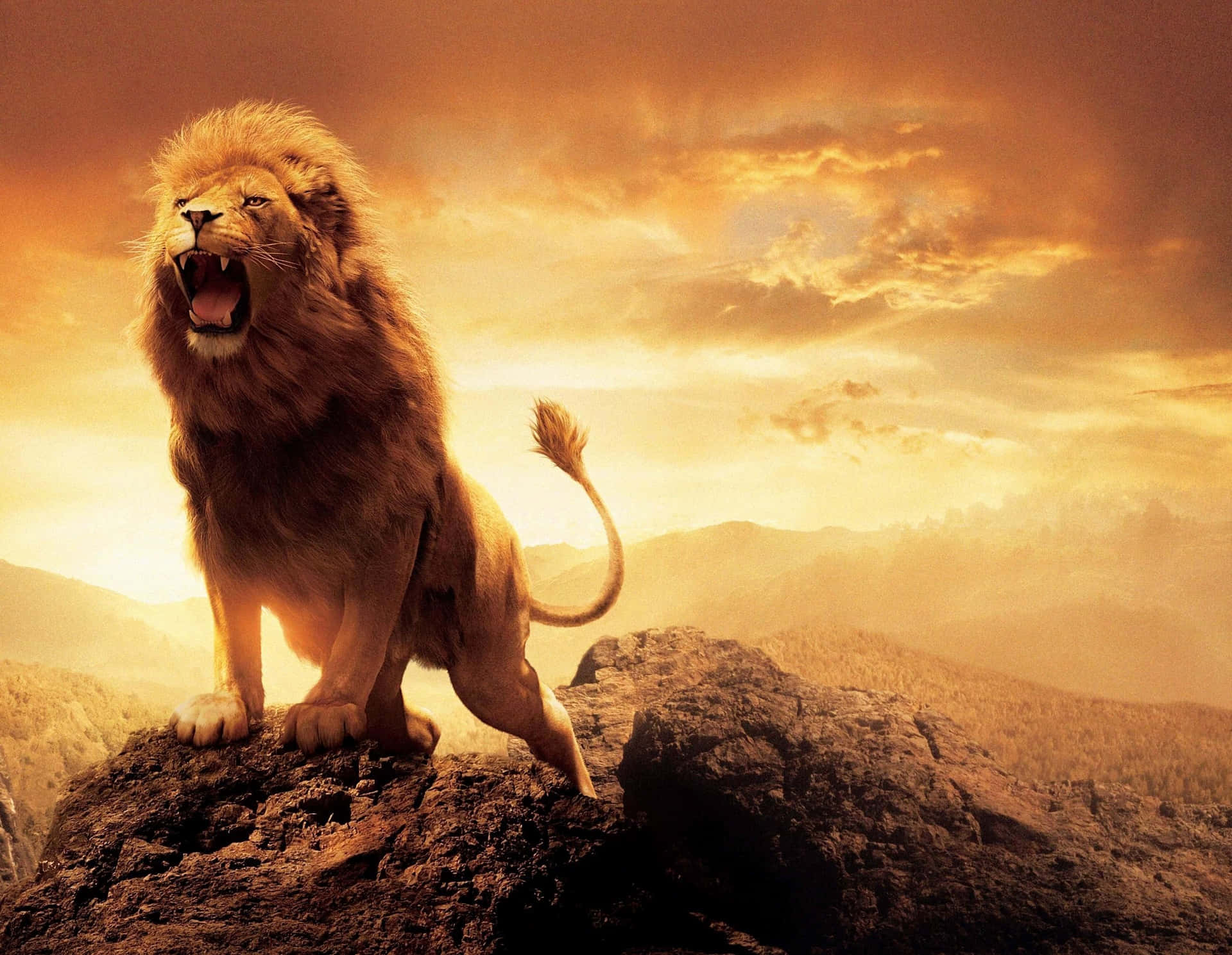 Majestic Lion Of Judah Roaring Wallpaper