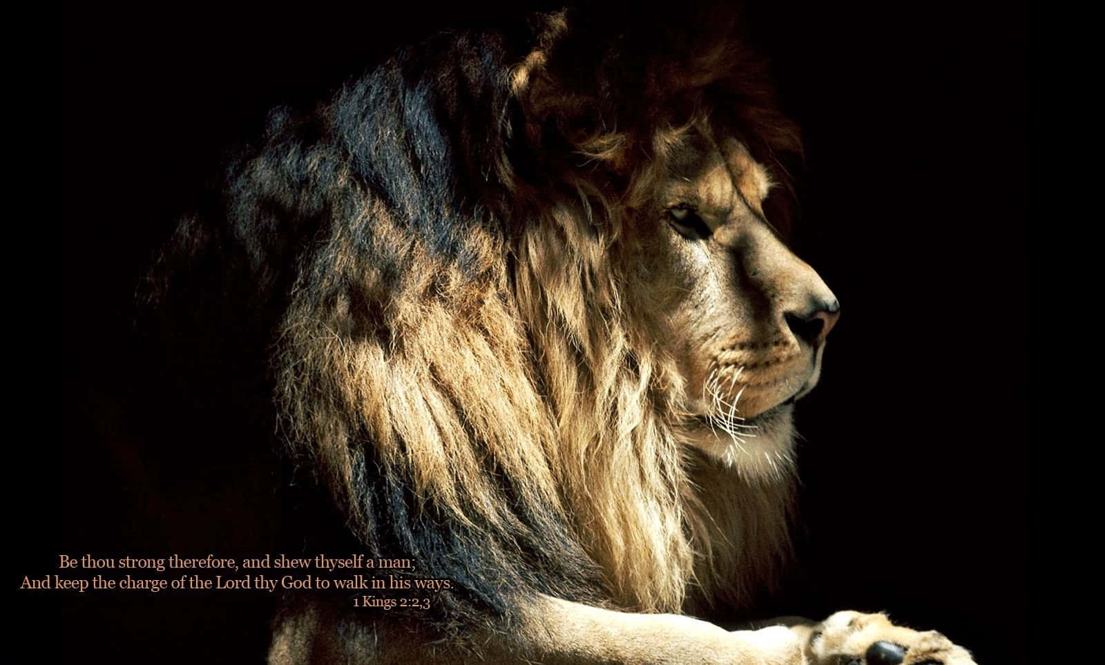 Majestic Lion Of Judah Roaring Wallpaper