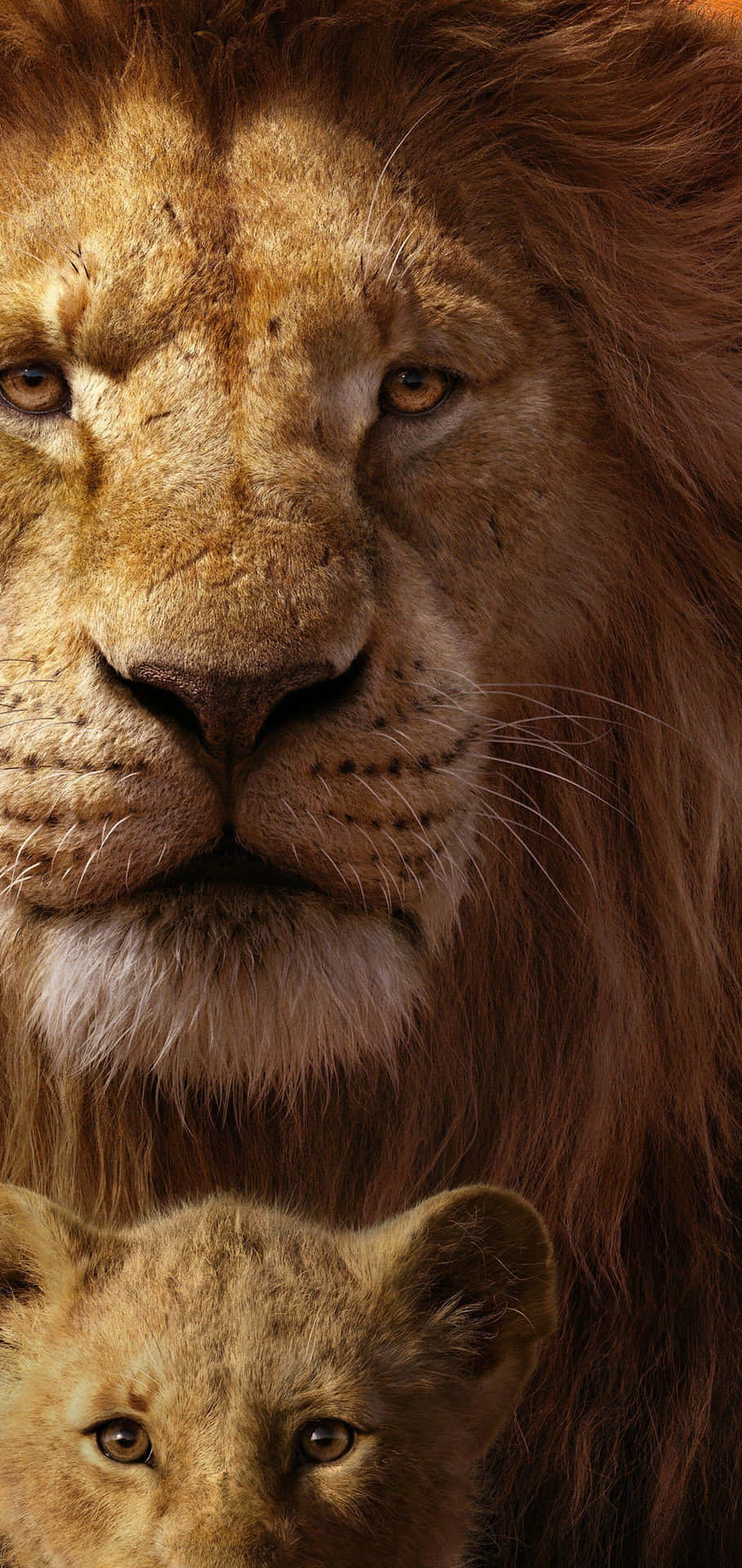 Majestic Lionand Cub Portrait Wallpaper