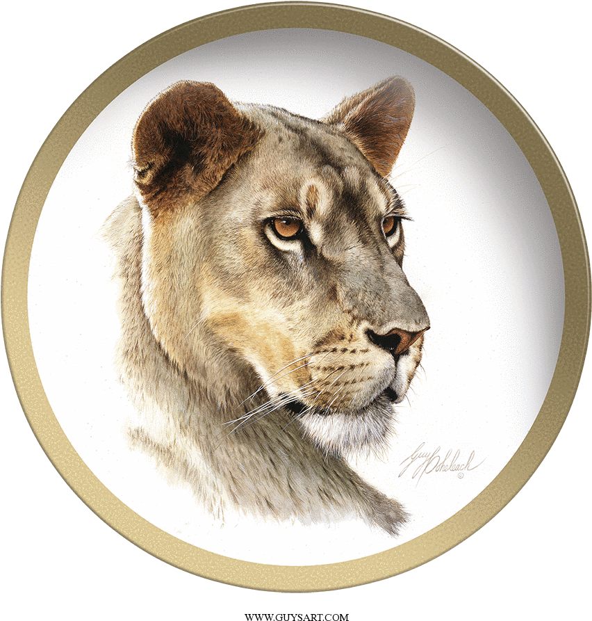 Majestic Lioness Portrait PNG