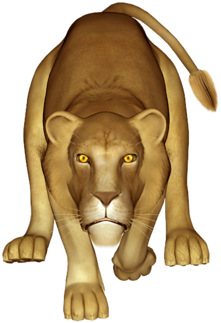 Majestic Lioness Prowling PNG