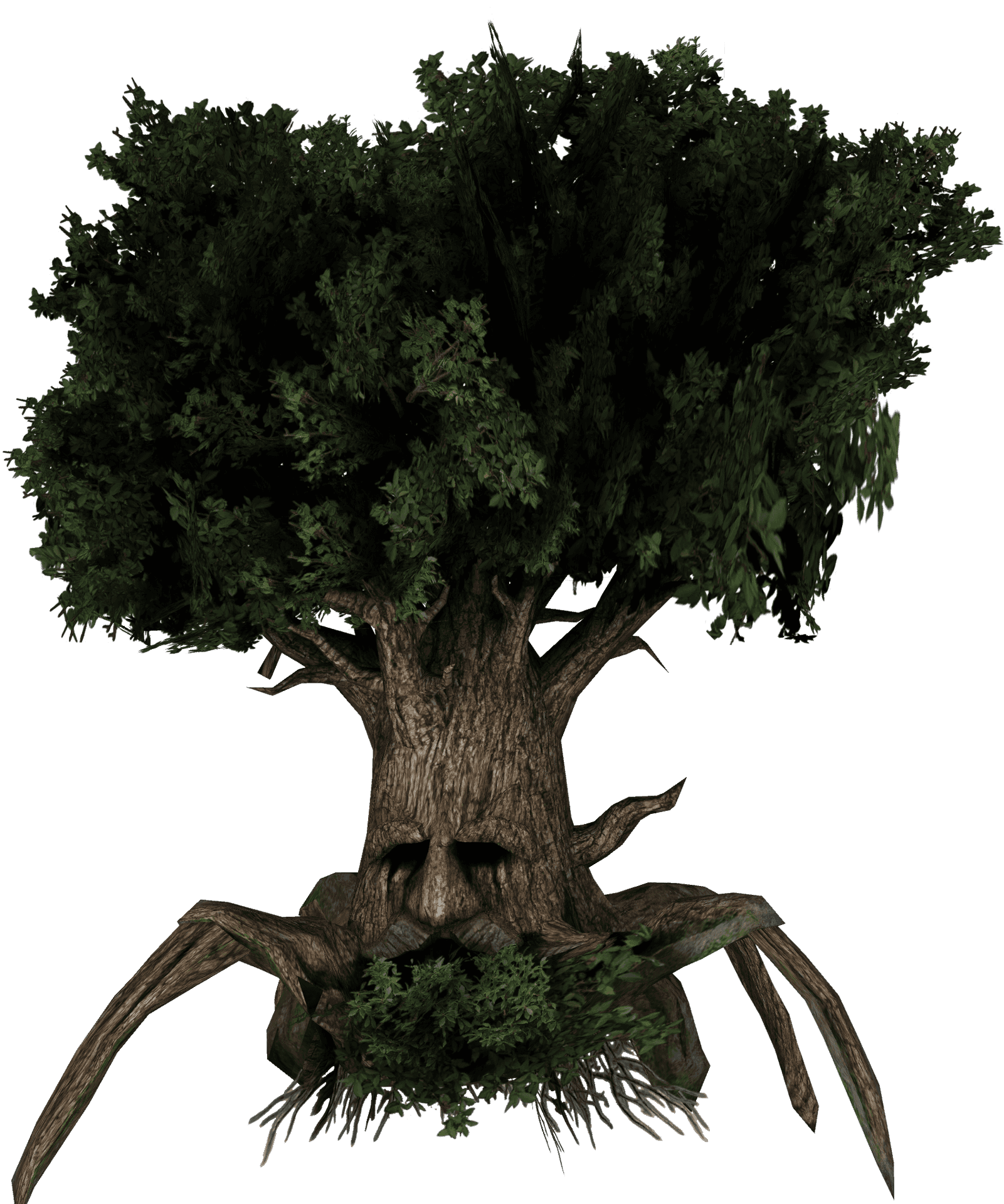 Majestic Live Tree Isolated PNG