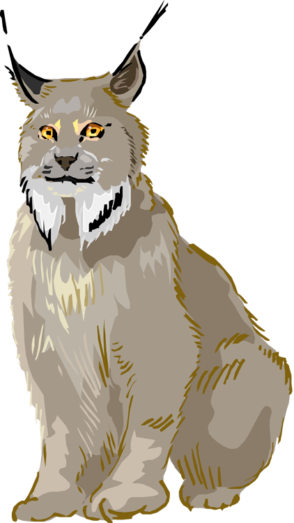Majestic Lynx Illustration PNG