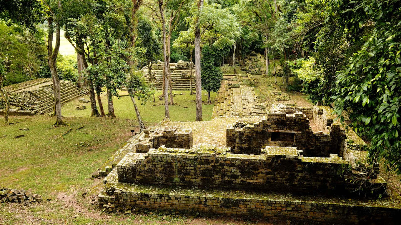 Majestic Mayan Ruins Of Copan In Honduras Wallpaper