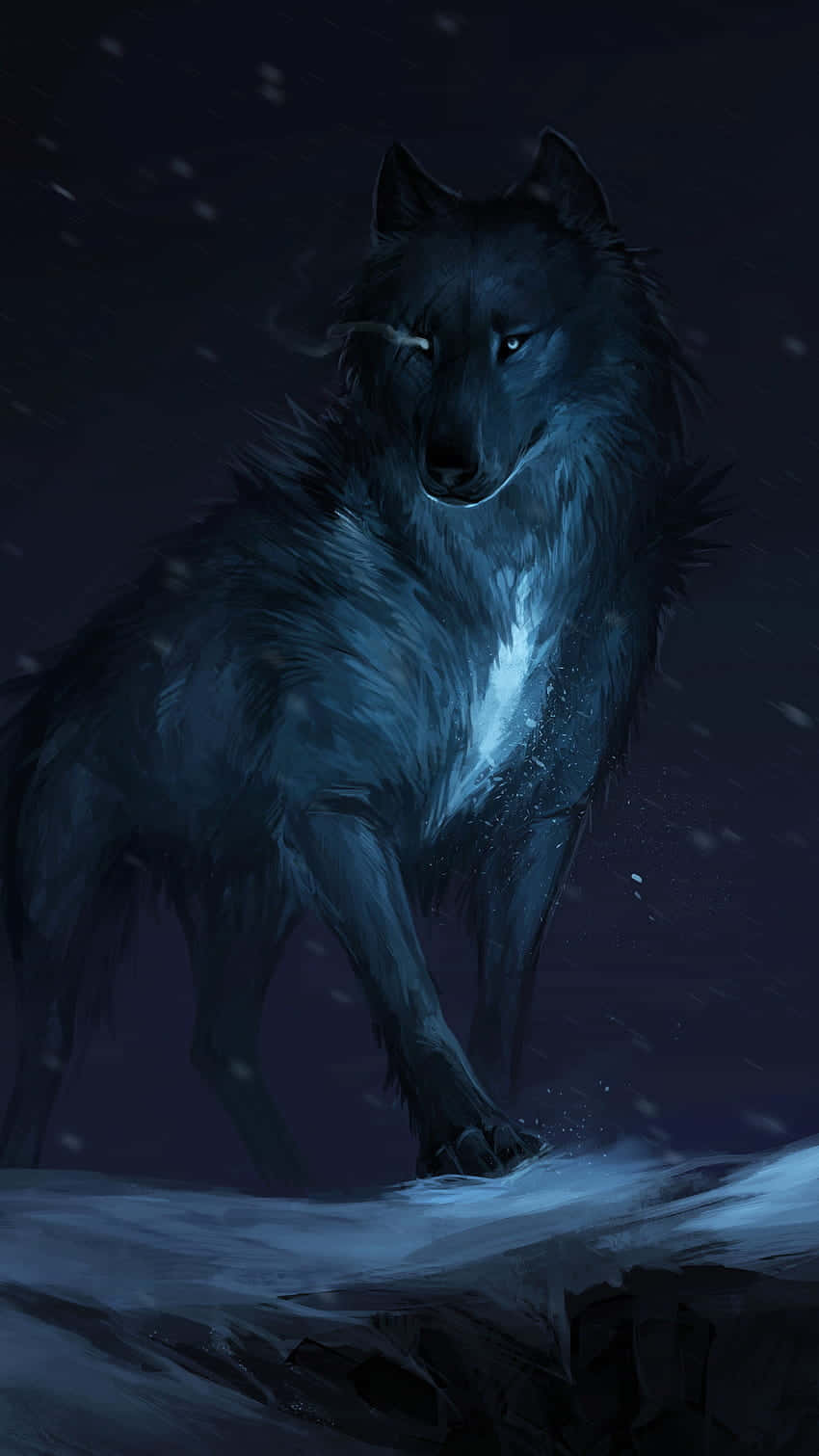 Majestic Midnight Wolf Wallpaper