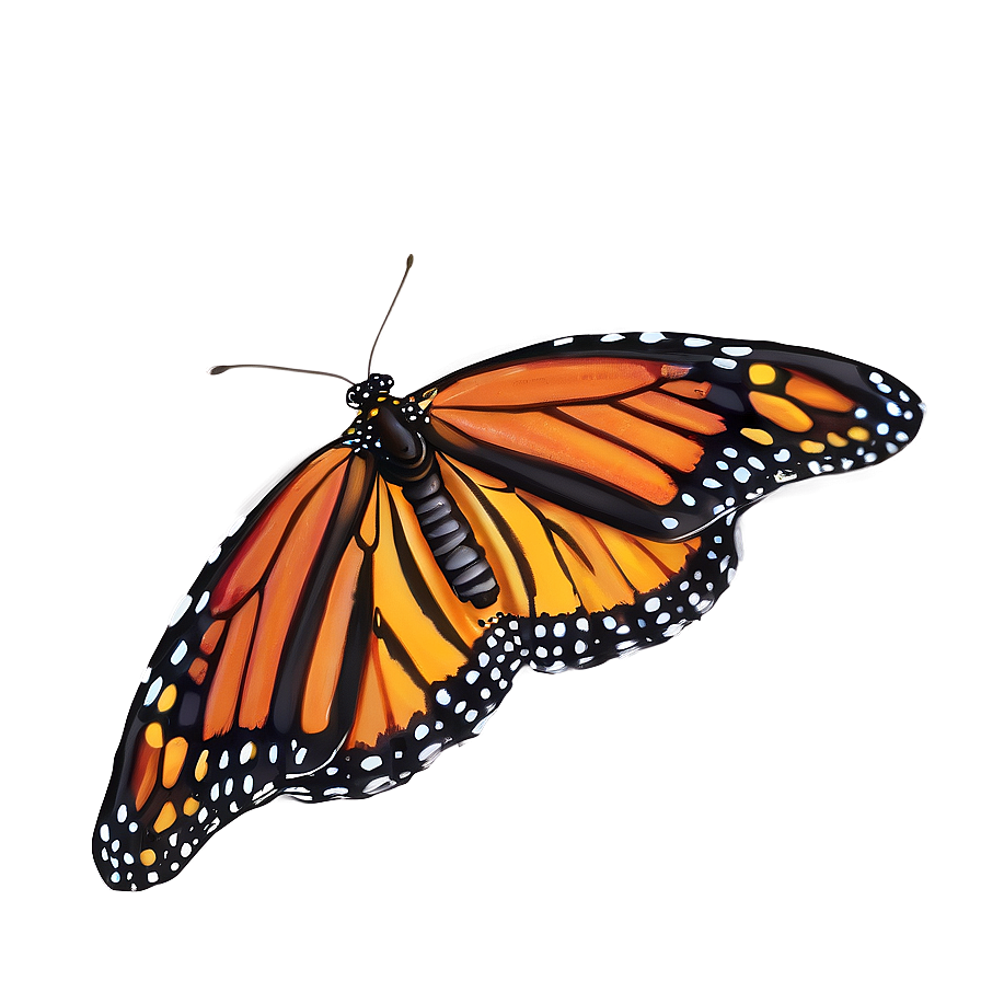 Majestic Monarch Butterfly Png Omf PNG