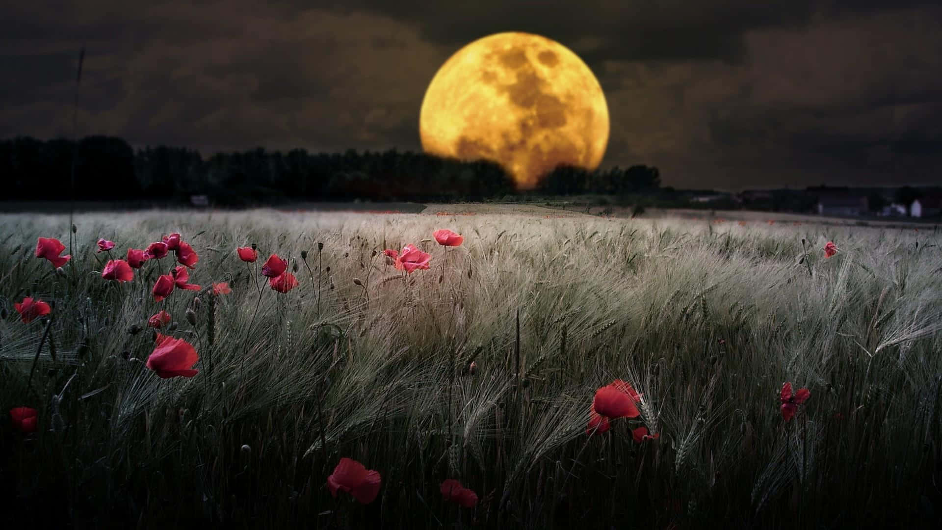 Majestic Moonlit Landscape Wallpaper