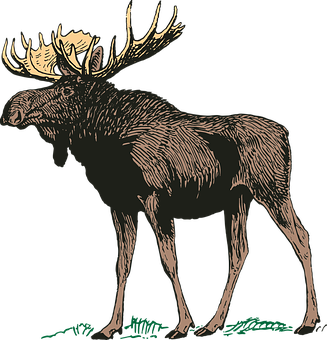 Download Majestic Moose Illustration | Wallpapers.com