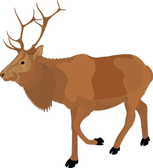 Majestic Moose Vector Illustration PNG