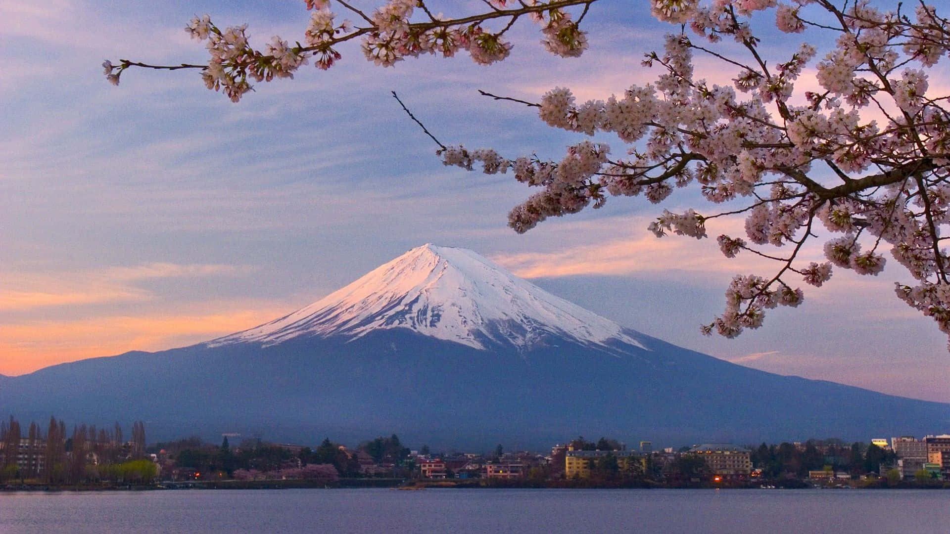 Majestætisk Mount Fuji i Japan ser smuk ud om natten. Wallpaper