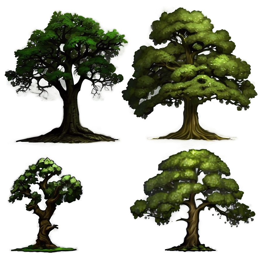 Majestic Oak Trees Png 20 PNG