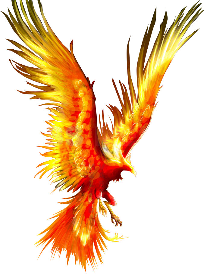 Majestic Phoenix Art PNG