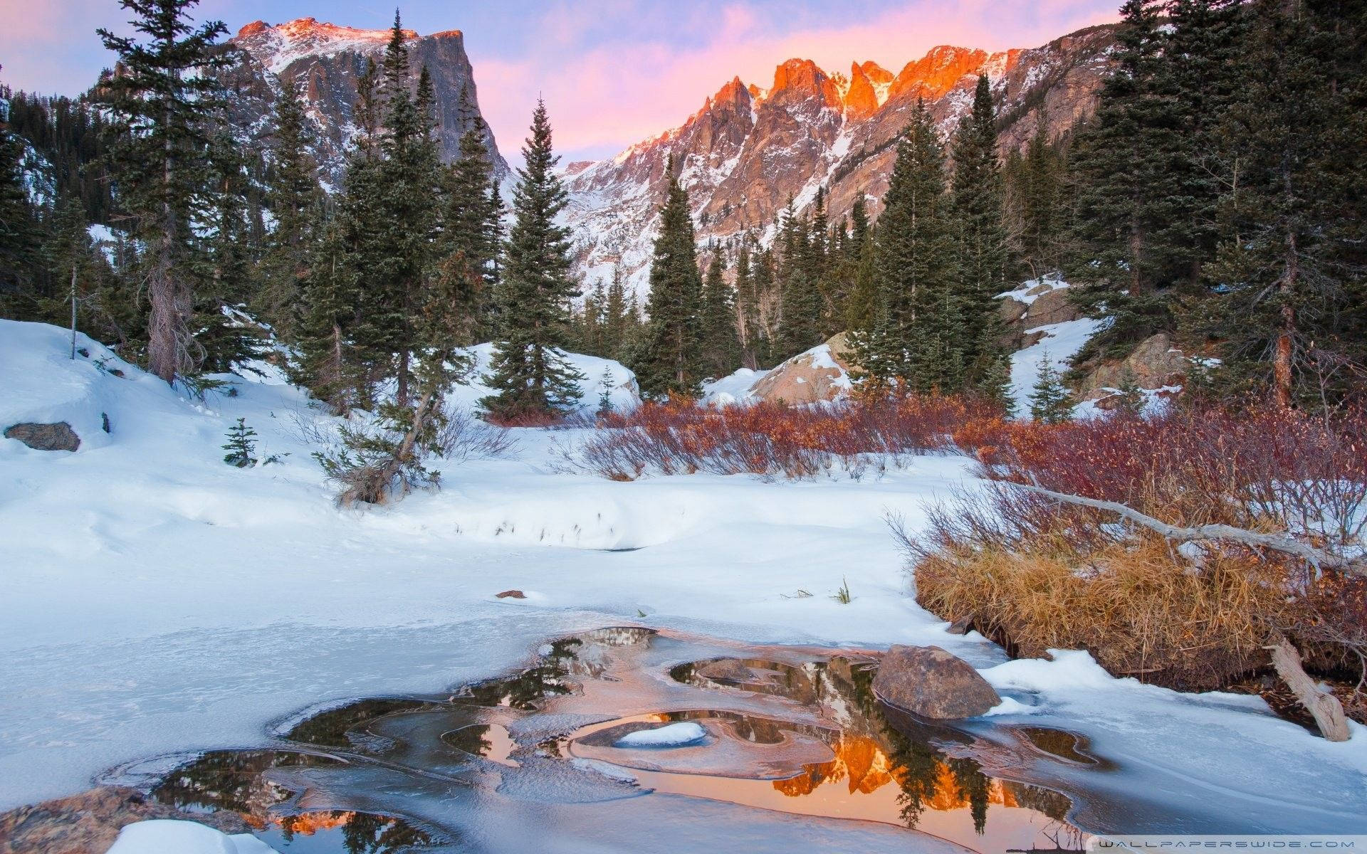 Majestic Rocky Mountain National Park In Full Bloom Wallpaper