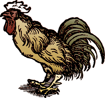 Majestic Rooster Illustration PNG