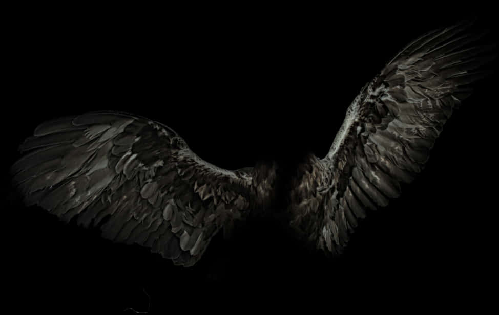 Majestic Spread Wings Dark Background PNG