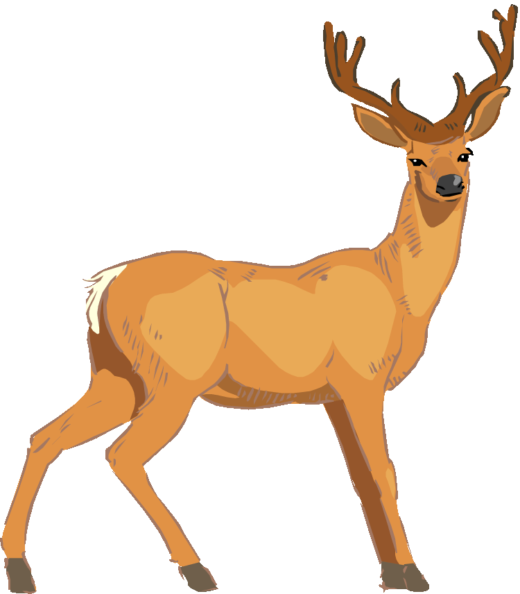 Majestic Stag Illustration PNG