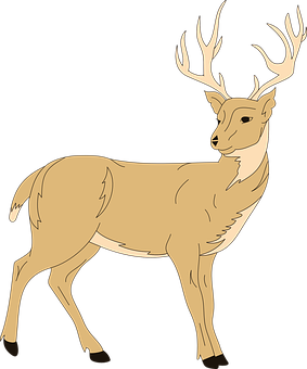 Majestic Stag Illustration PNG