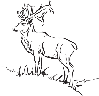 Majestic Stag Silhouette PNG