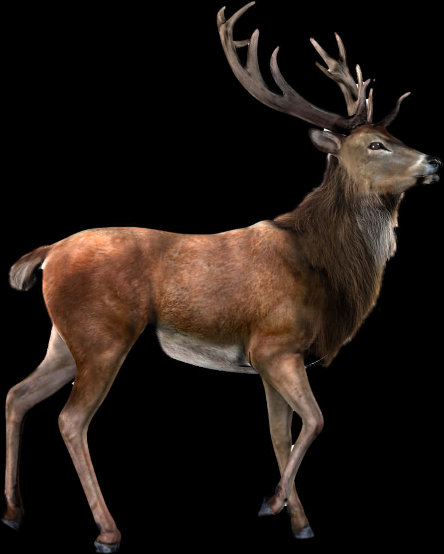 Majestic Stagin Profile PNG