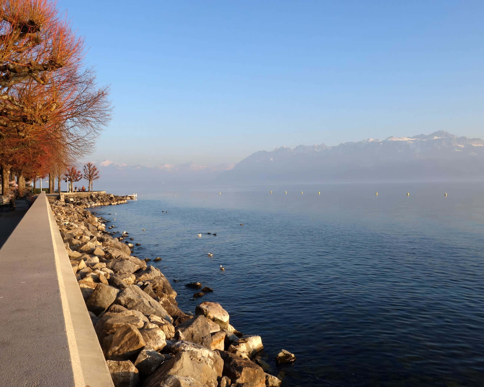 Majestueuze Zonsondergang Boven Het Meer Van Genève, Lausanne Achtergrond