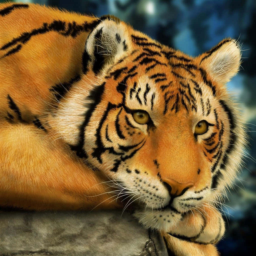 Majestic_ Tiger_ Closeup.jpg Wallpaper
