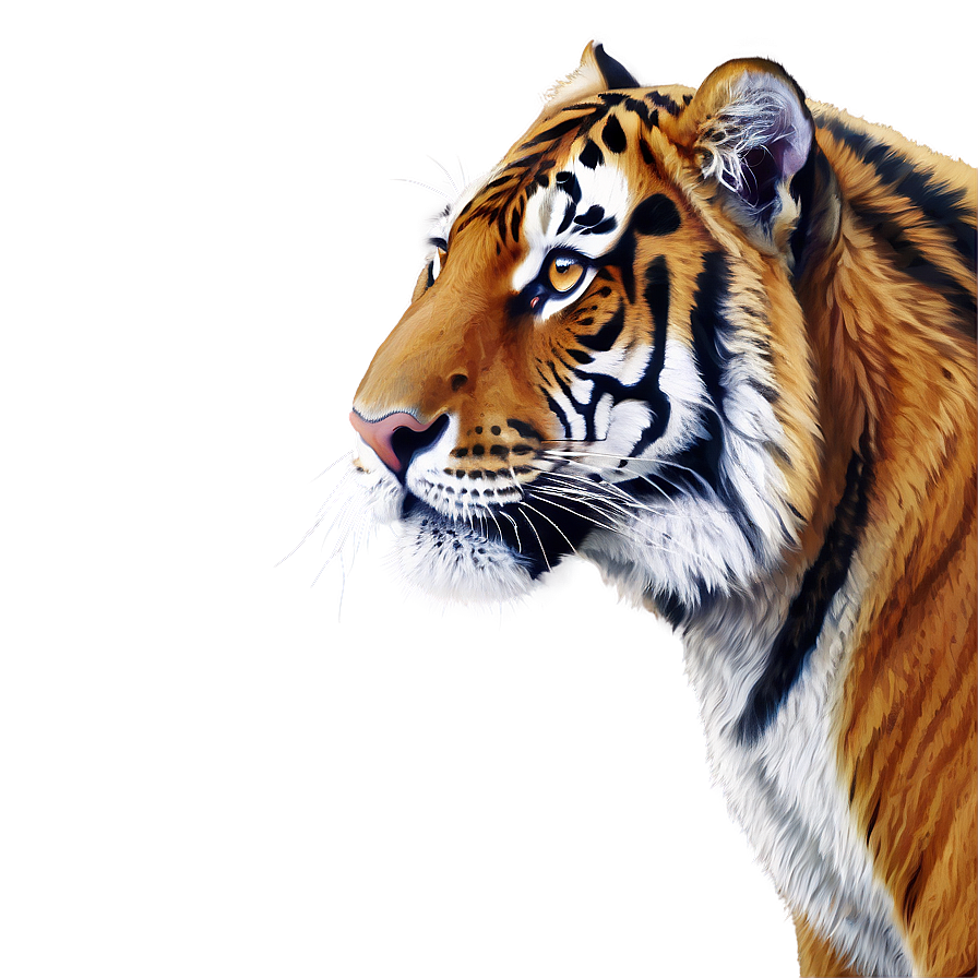 Download Majestic Tiger Png 05032024 | Wallpapers.com