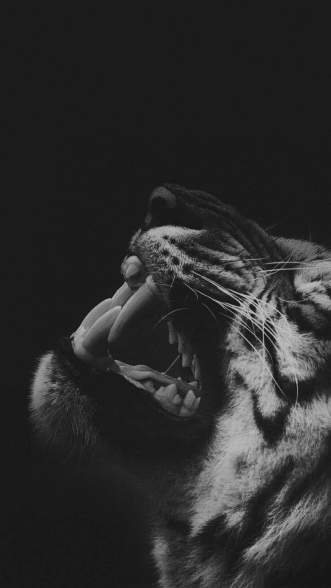 Majestic_ Tiger_ Roaring_in_ Darkness.jpg Wallpaper