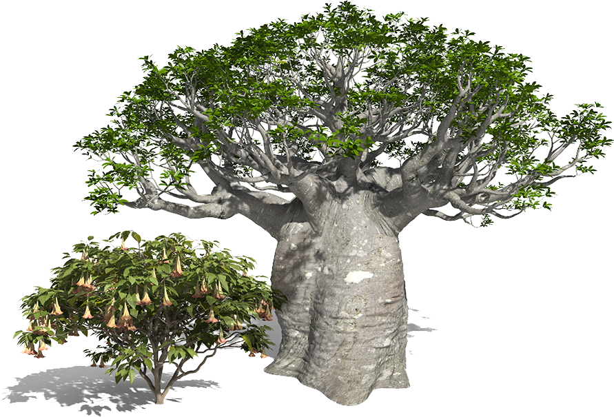 Majestic Tree3 D Render PNG