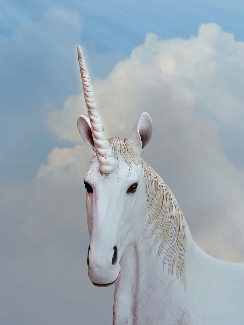 Majestic Unicorn Portrait Wallpaper