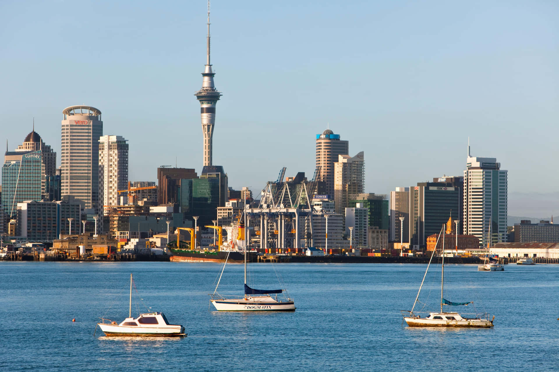Majestic View Of Auckland Sky Tower Amidst Cityscape Wallpaper