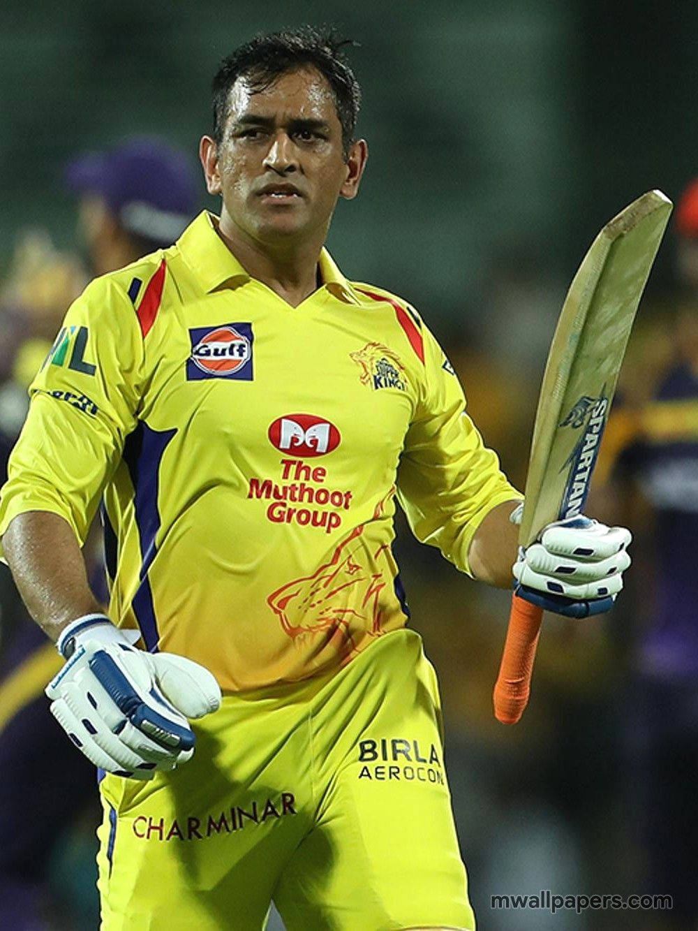 Majestic View Of Cricket Legend Ms Dhoni In Hd Wallpaper