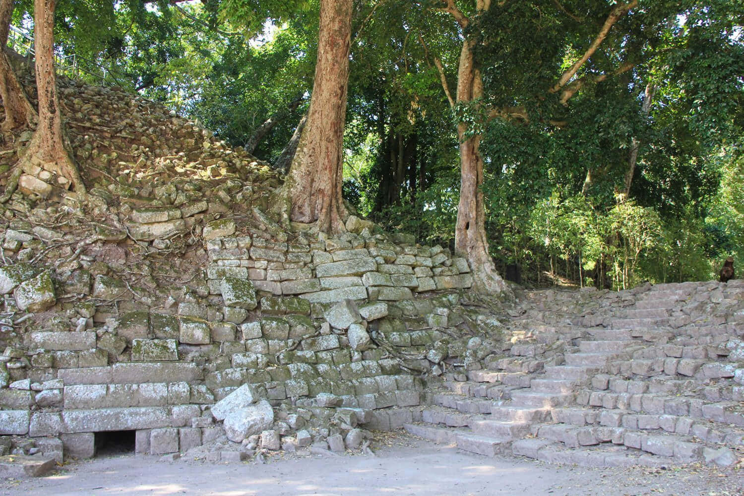 Majestic View Of Mayan Ruins Of Copan Wallpaper