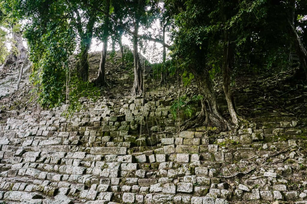 Majestic View Of The Ancient Mayan Ruins Of Copan Wallpaper