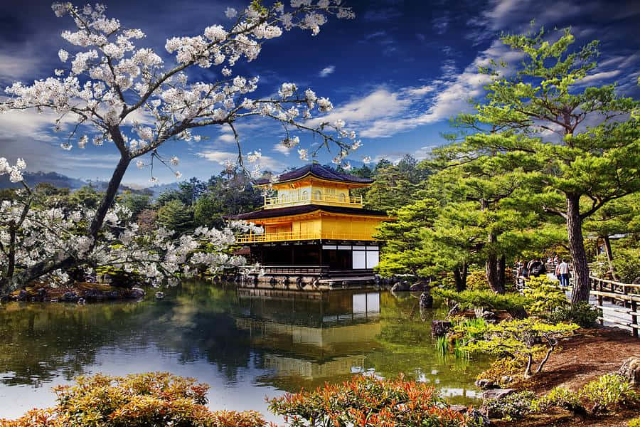 Majestic View Of The Golden Pavilion In Kyoto, Japan Wallpaper