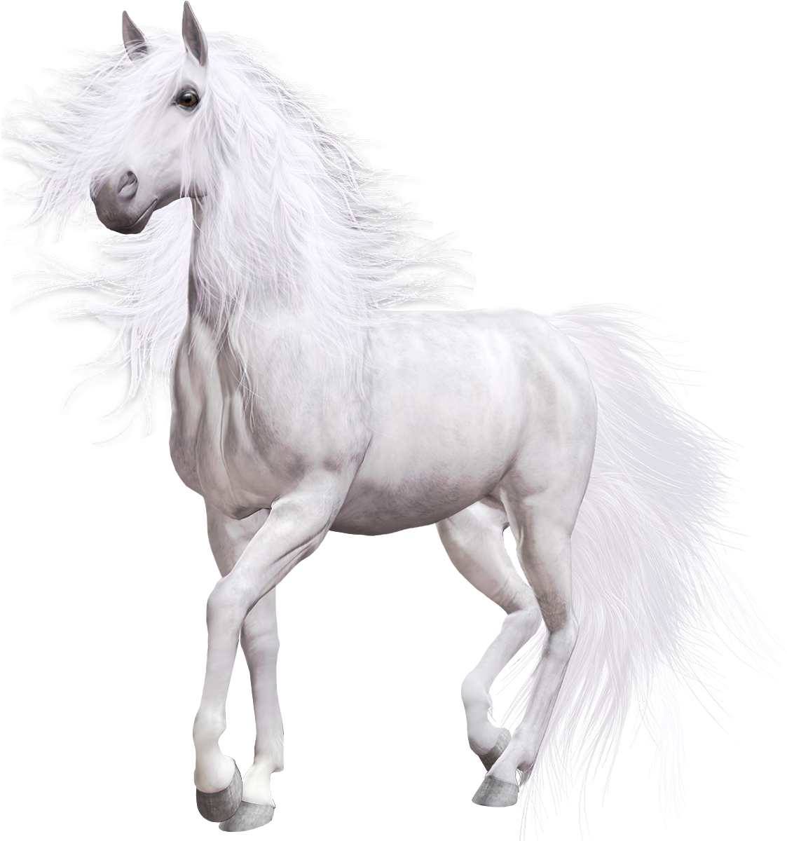 Majestic White Horse Flowing Mane PNG