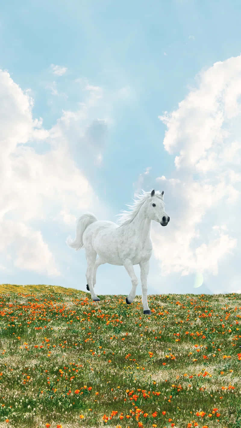 Majestic_ White_ Horse_in_ Blooming_ Meadow.jpg Wallpaper