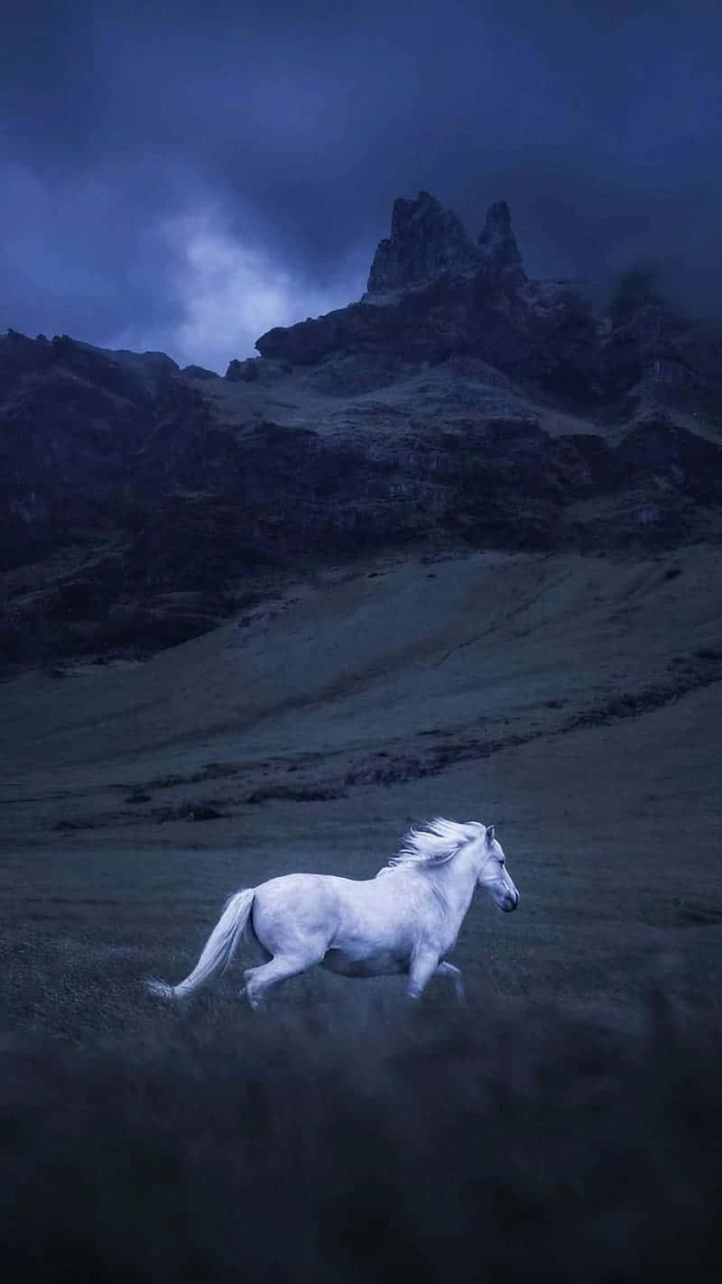 Majestic_ White_ Horse_in_ Twilight_ Mountain_ Scene.jpg Wallpaper