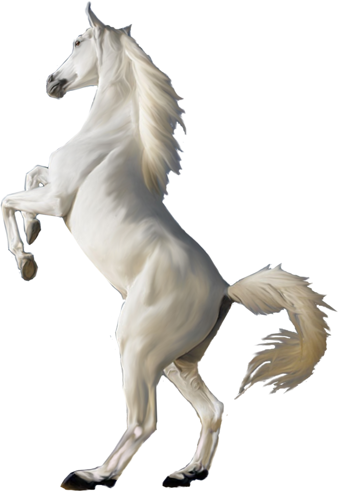 Majestic White Horse Rearing PNG